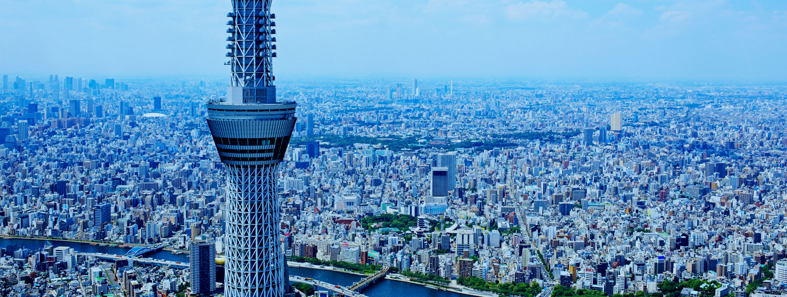建築資材のアシスト業一筋。半世紀を超える実績と信頼で、都市建設の一翼を担っています。